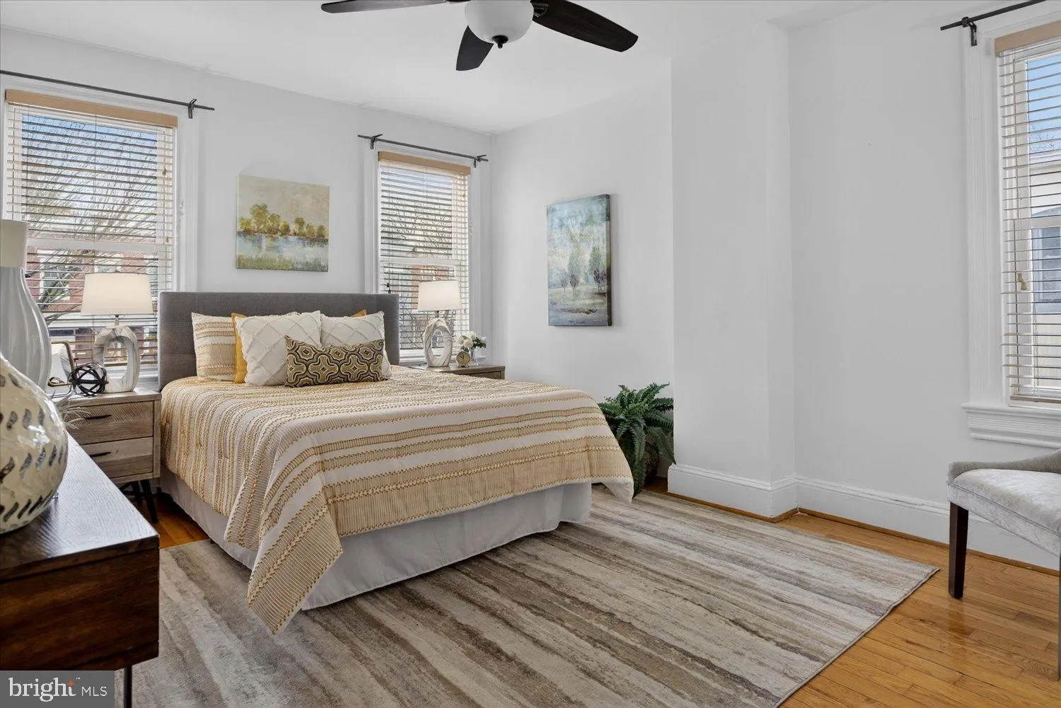 Additional image 62 of 911 Independence Avenue SE, Washington, DC 20003