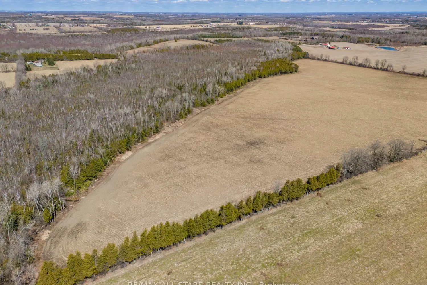 Additional image 11 of 201 Royal Oak Road