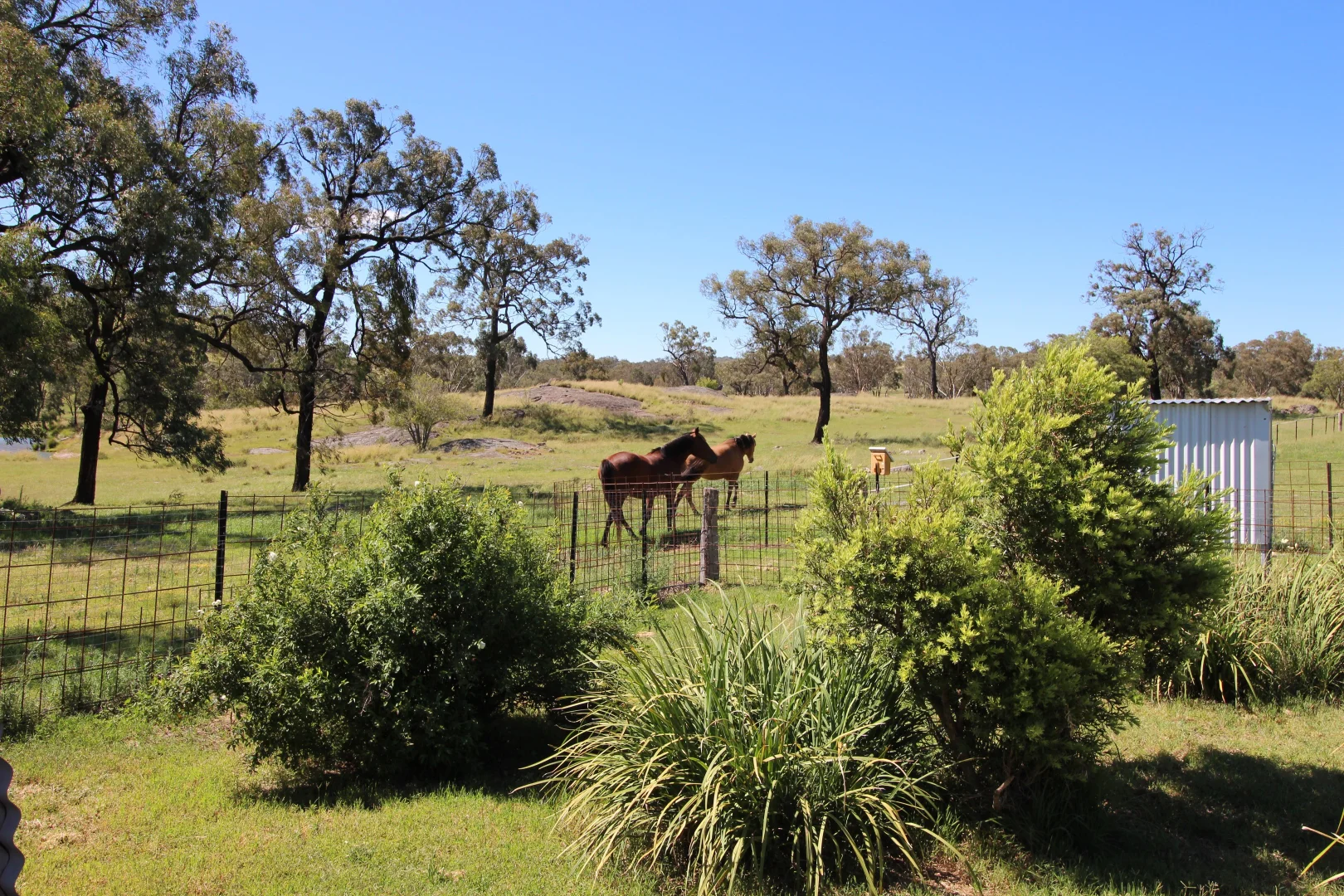 Additional image 15 of 2663 Nullamanna Rd, Inverell NSW 2360