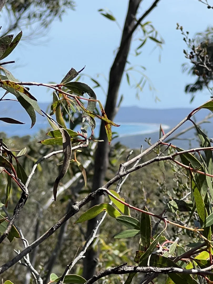 Additional image 5 of PID 6424103 Palana Road, Emita TAS 7255