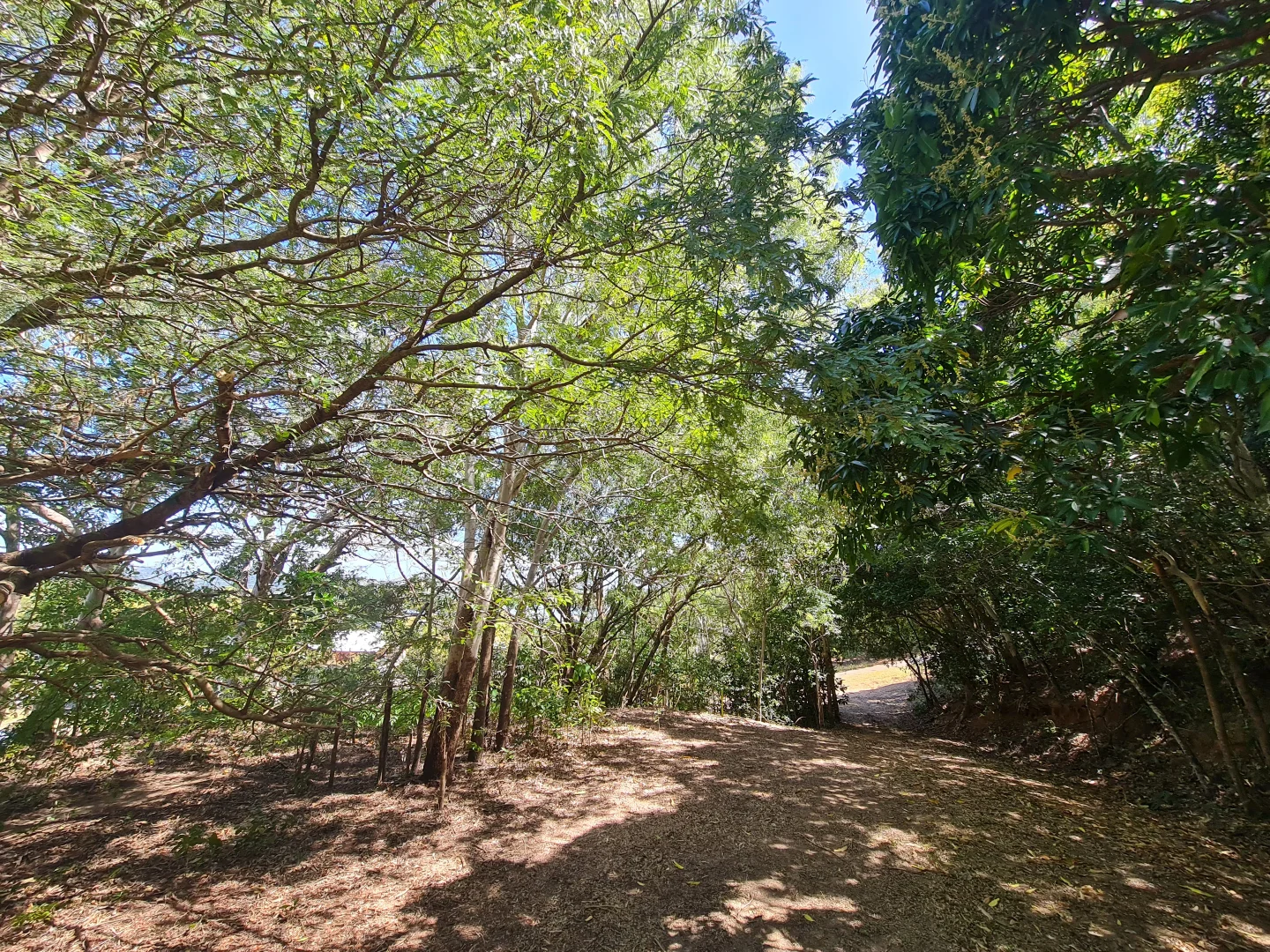 Additional image 7 of 18 Flinders Street, Cooktown QLD 4895