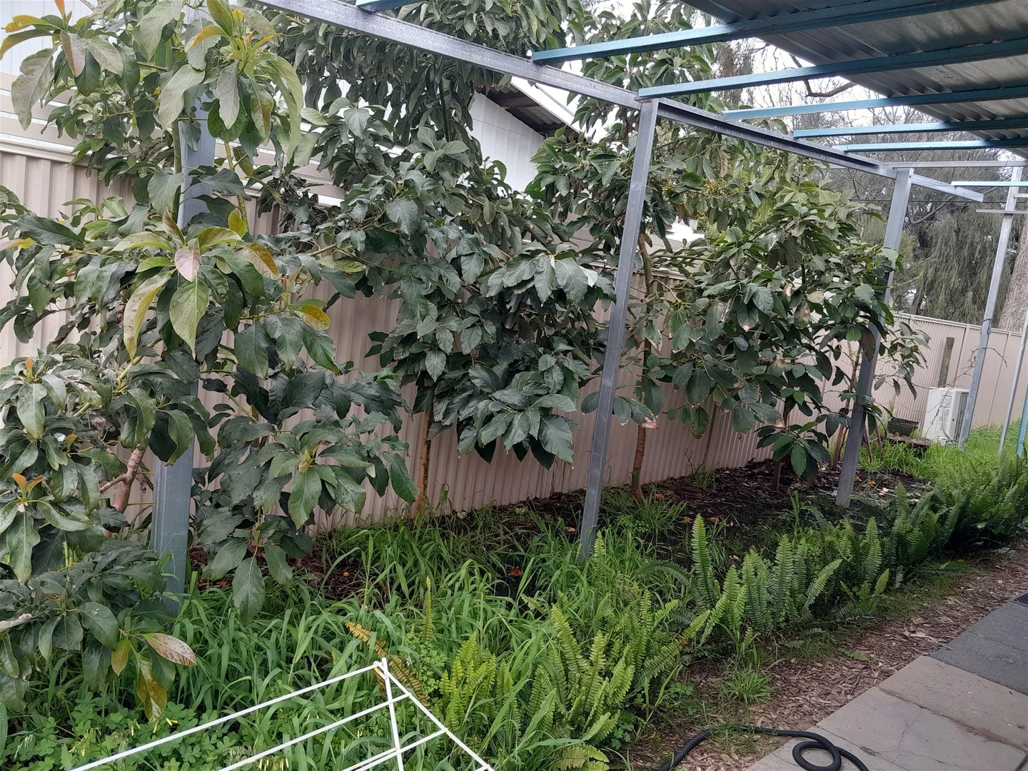 Additional image 20 of 26 Nesbit road, Greenfields WA 6210