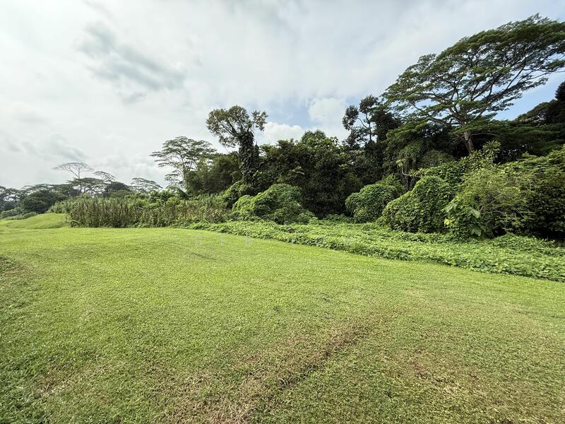 Additional image 11 of SPRINGLEAF, THONG SOON, UPP THOMSON