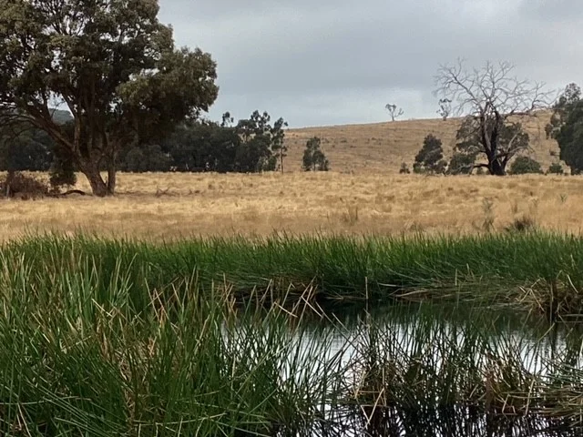 Additional image 13 of Lot 2 Eurambeen-Raglan Road, Beaufort VIC 3373