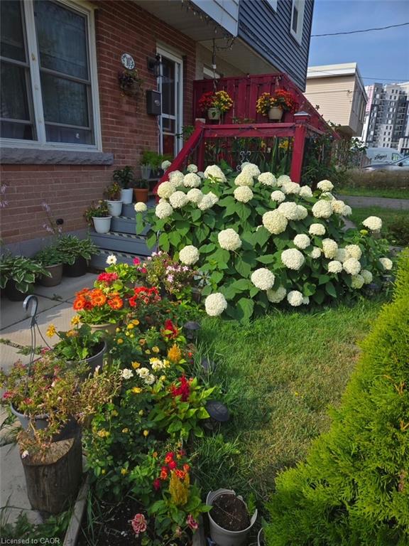Additional image 2 of 10 Armstrong Avenue, Hamilton, ON, L8H 1M5