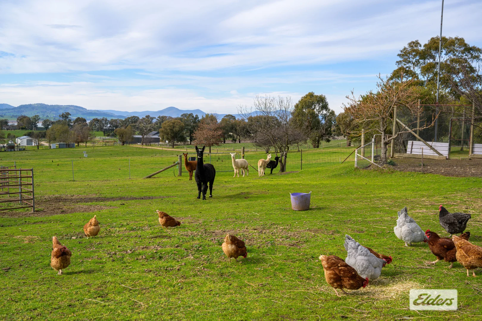 Additional image 18 of 1055 Table Top Road, Table Top NSW 2640