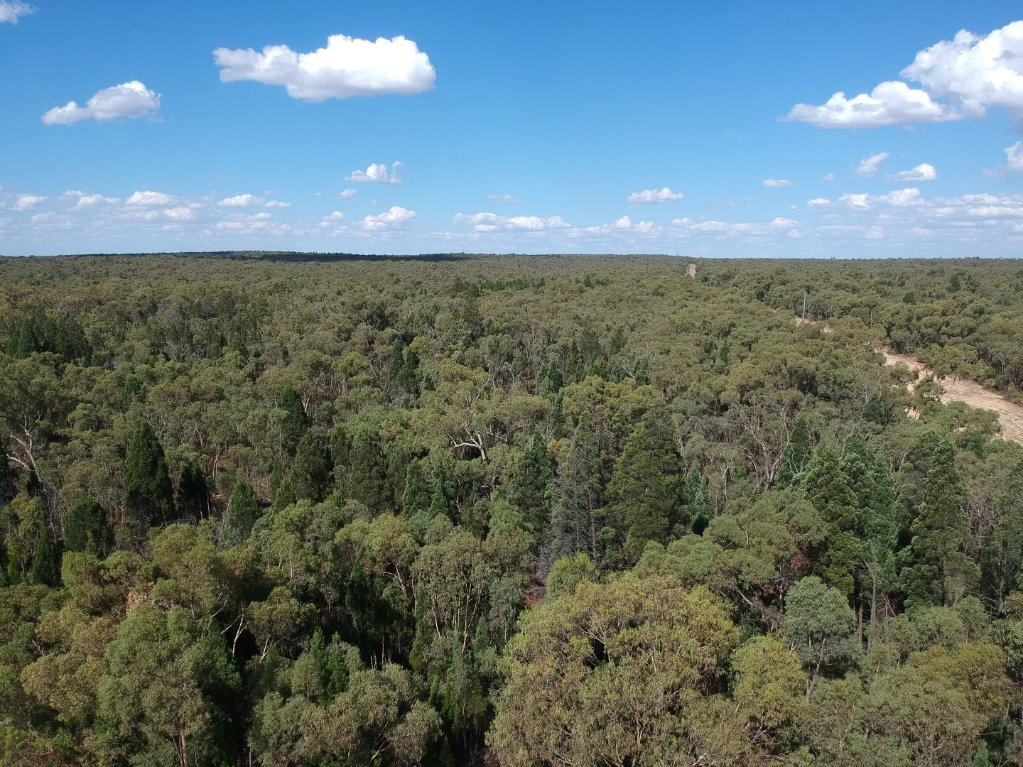 Additional image 29 of 14692 Oxley Highway, Rocky Glen NSW 2357