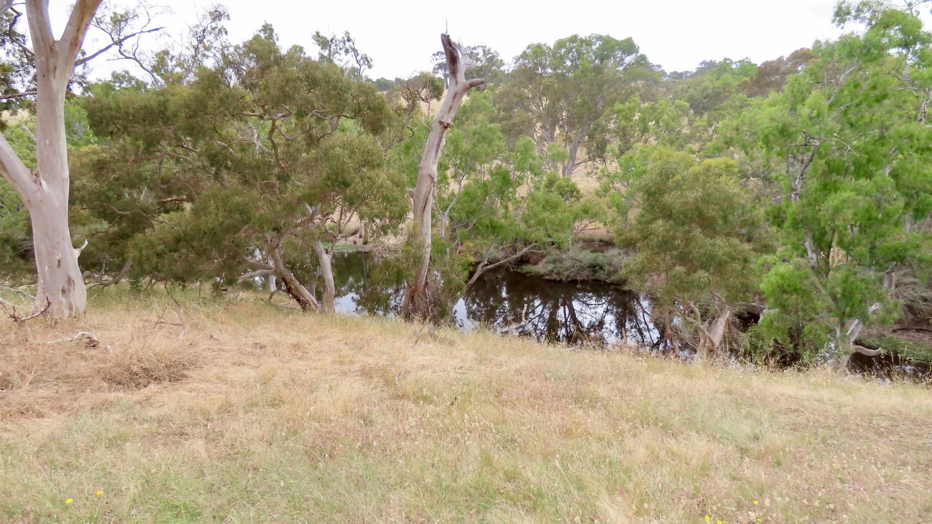 Additional image 2 of 596 Mostyn Lane, Balmoral VIC 3407
