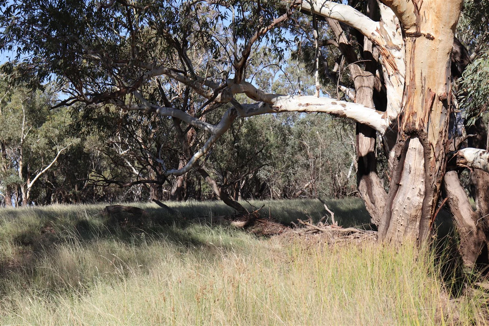 Additional image 27 of Parkes NSW 2870