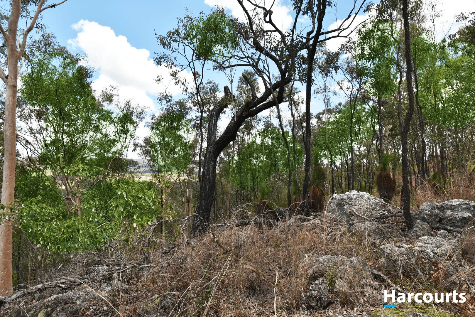 Additional image 7 of Lot 29 Wonbah Avenue, Wonbah QLD 4671