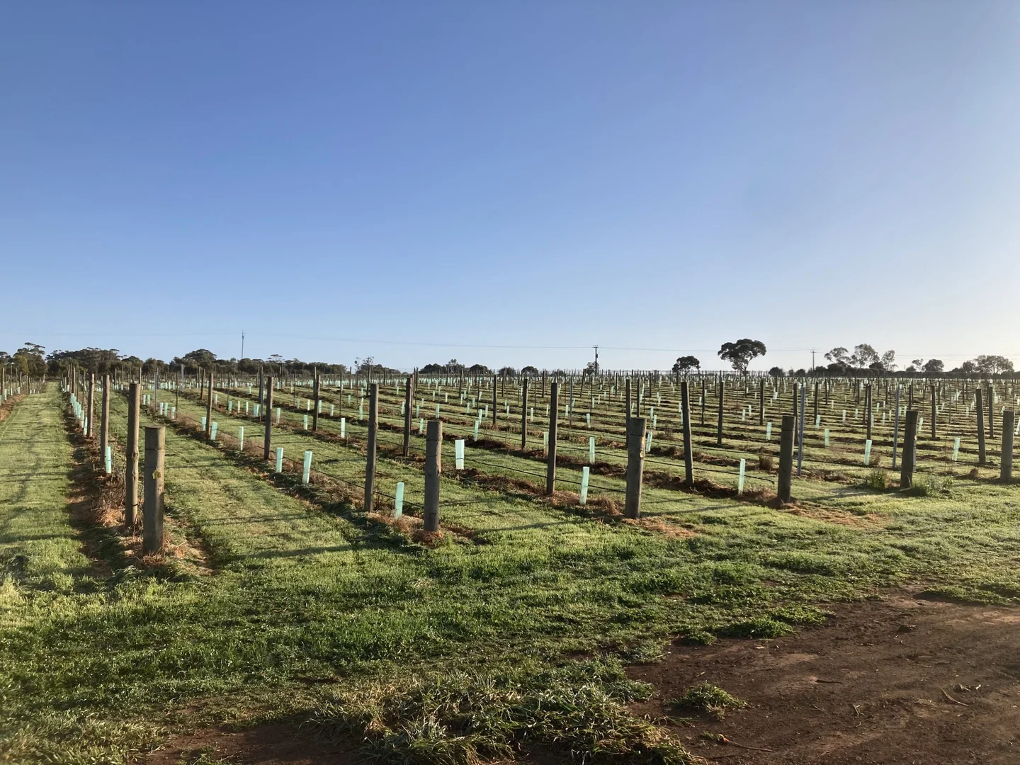 Additional image 7 of Lot 302 Burra Street, Mintaro SA 5415