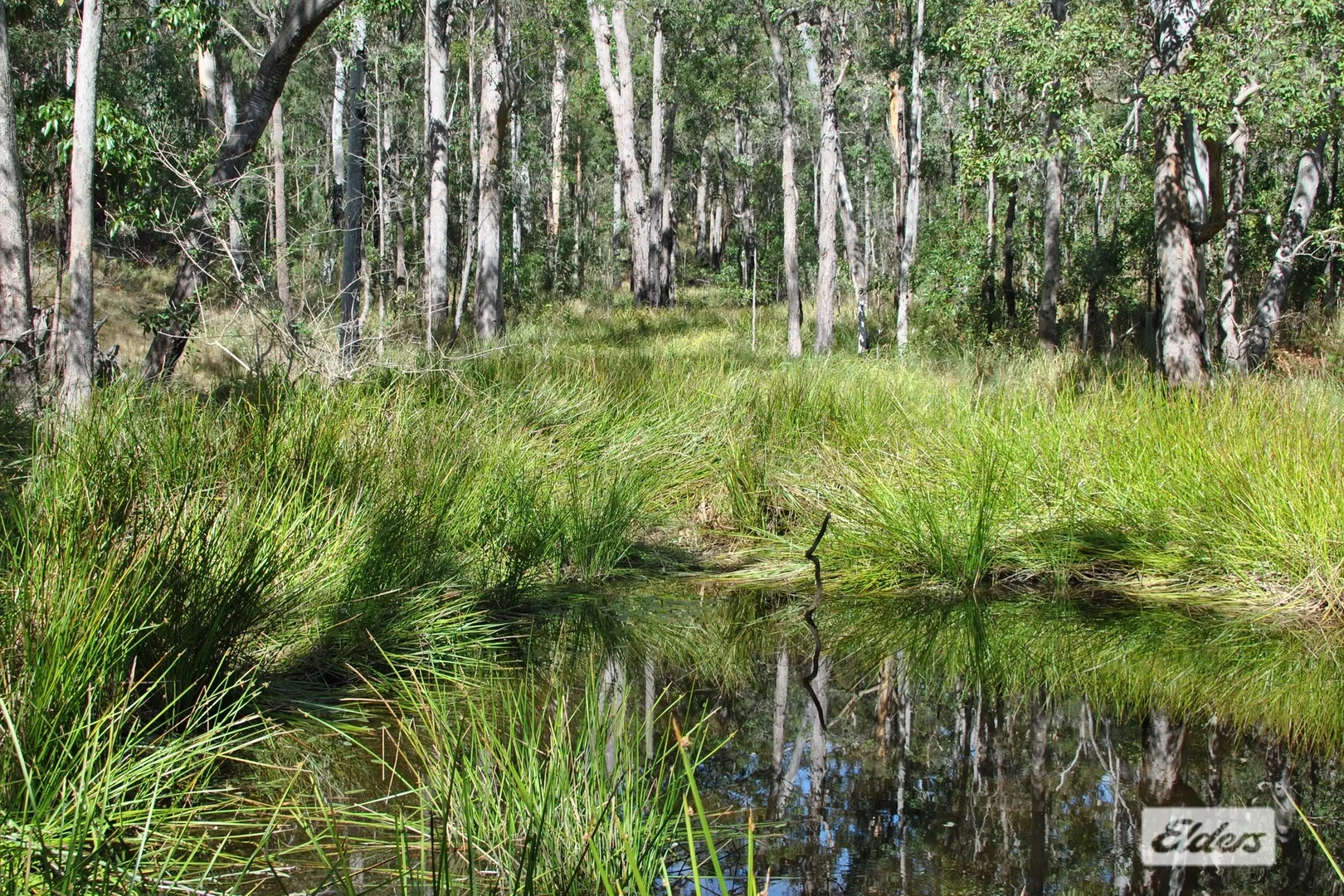 Additional image 8 of 50 Stegemann Road, Upper Glastonbury QLD 4570