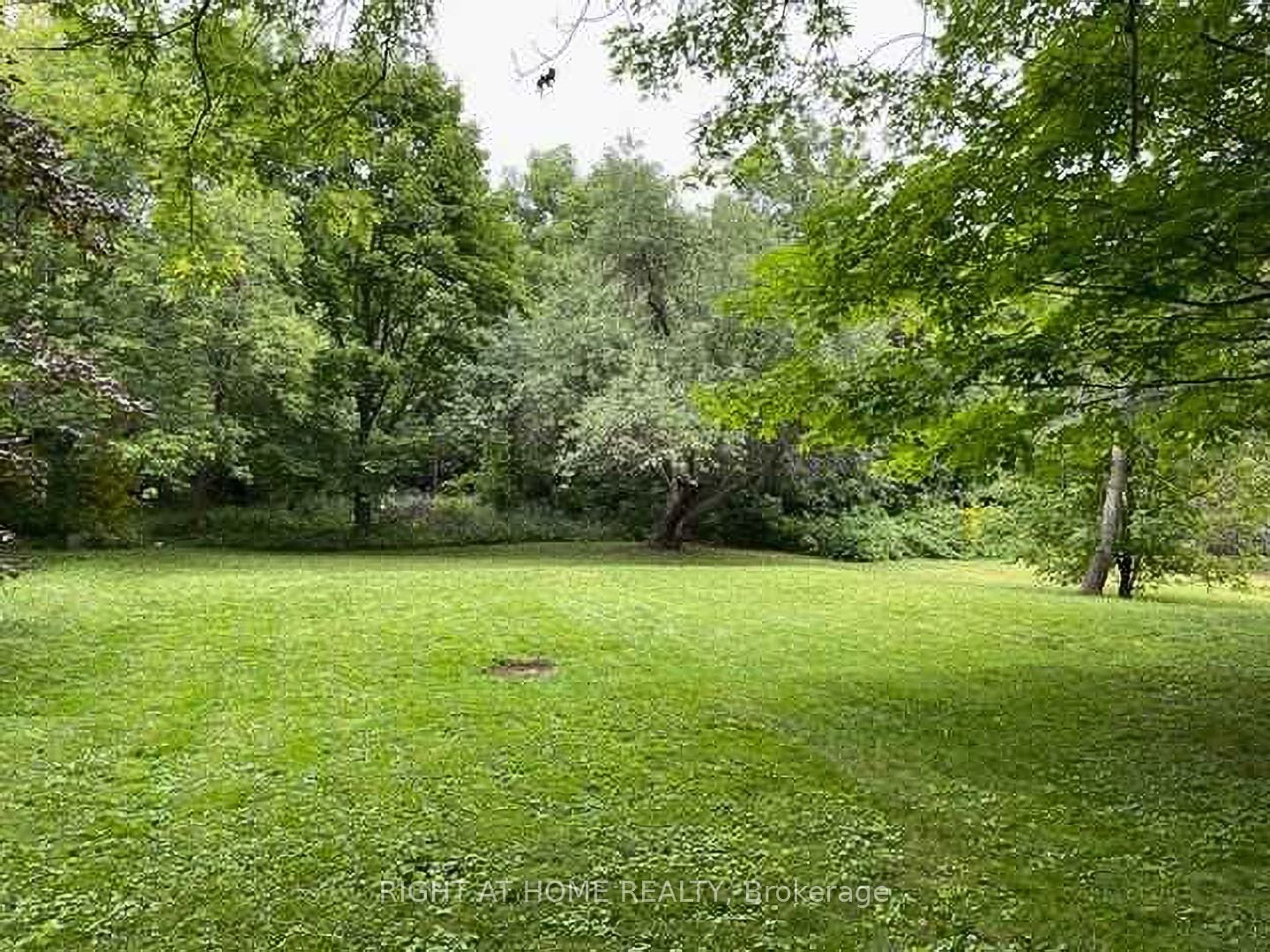 Additional image 5 of 735 Srigley Street, Newmarket, ON, L3Y 1X6