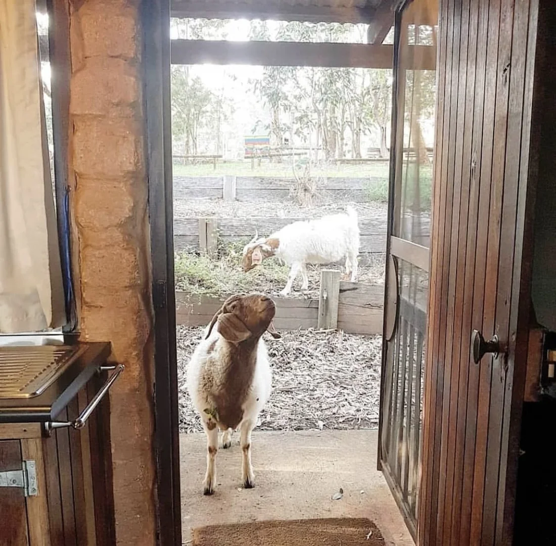 Additional image 13 of 129 Pump Hill Road, Channybearup WA 6260