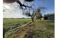 Additional image 83 of 16400 Ash Ave, Patterson, CA, 95363