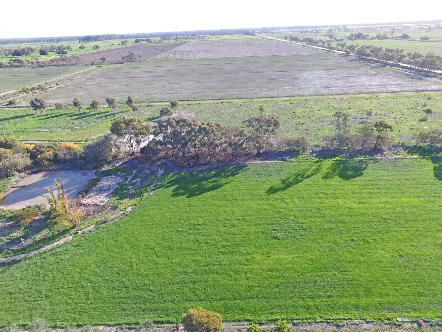 Additional image 22 of 131 West Road, Kerang VIC 3579