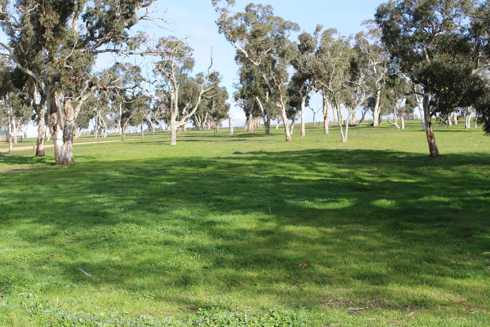 Additional image 26 of 678 Jones Road, Mundulla SA 5270