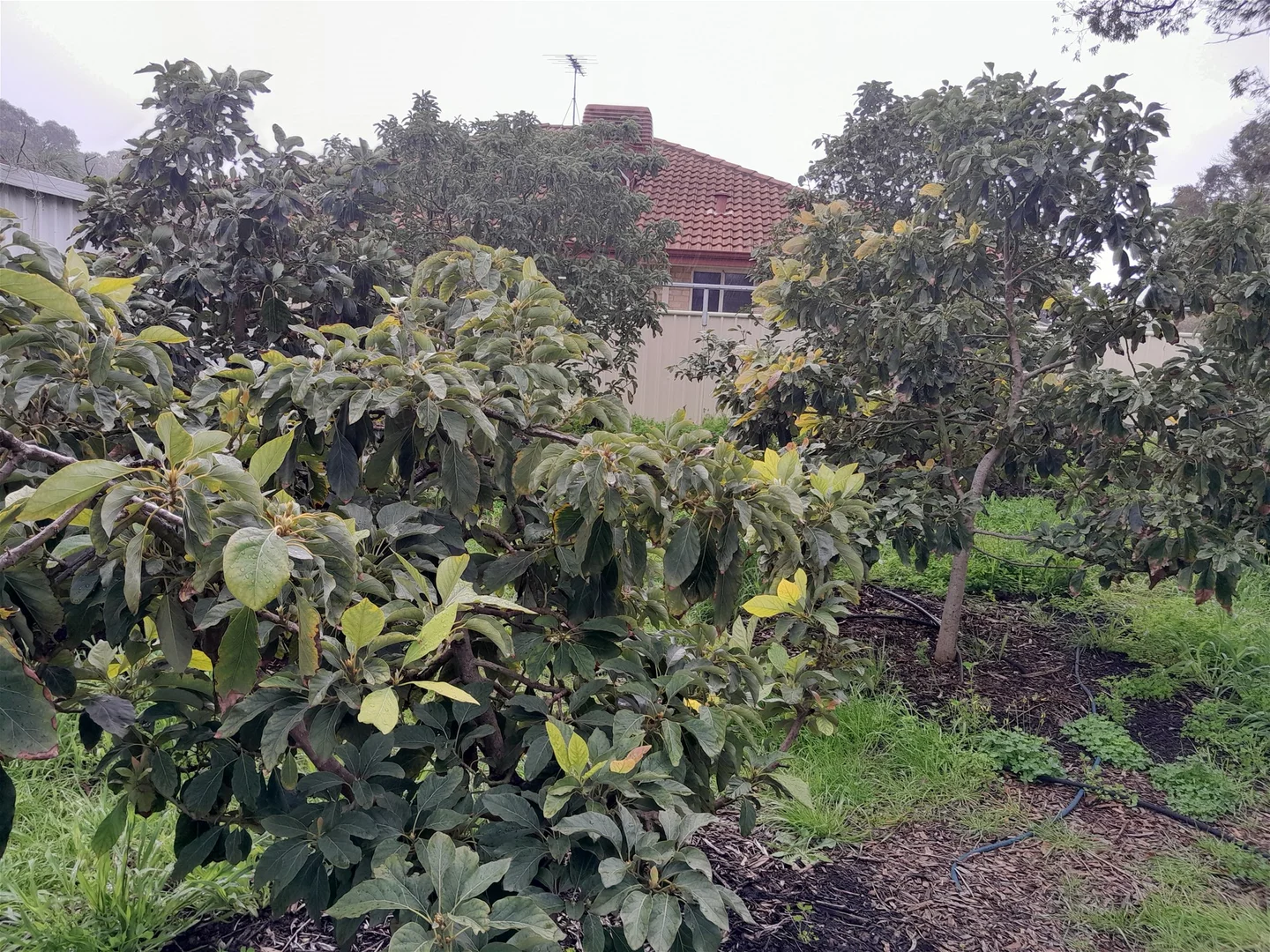 Additional image 17 of 26 Nesbit road, Greenfields WA 6210