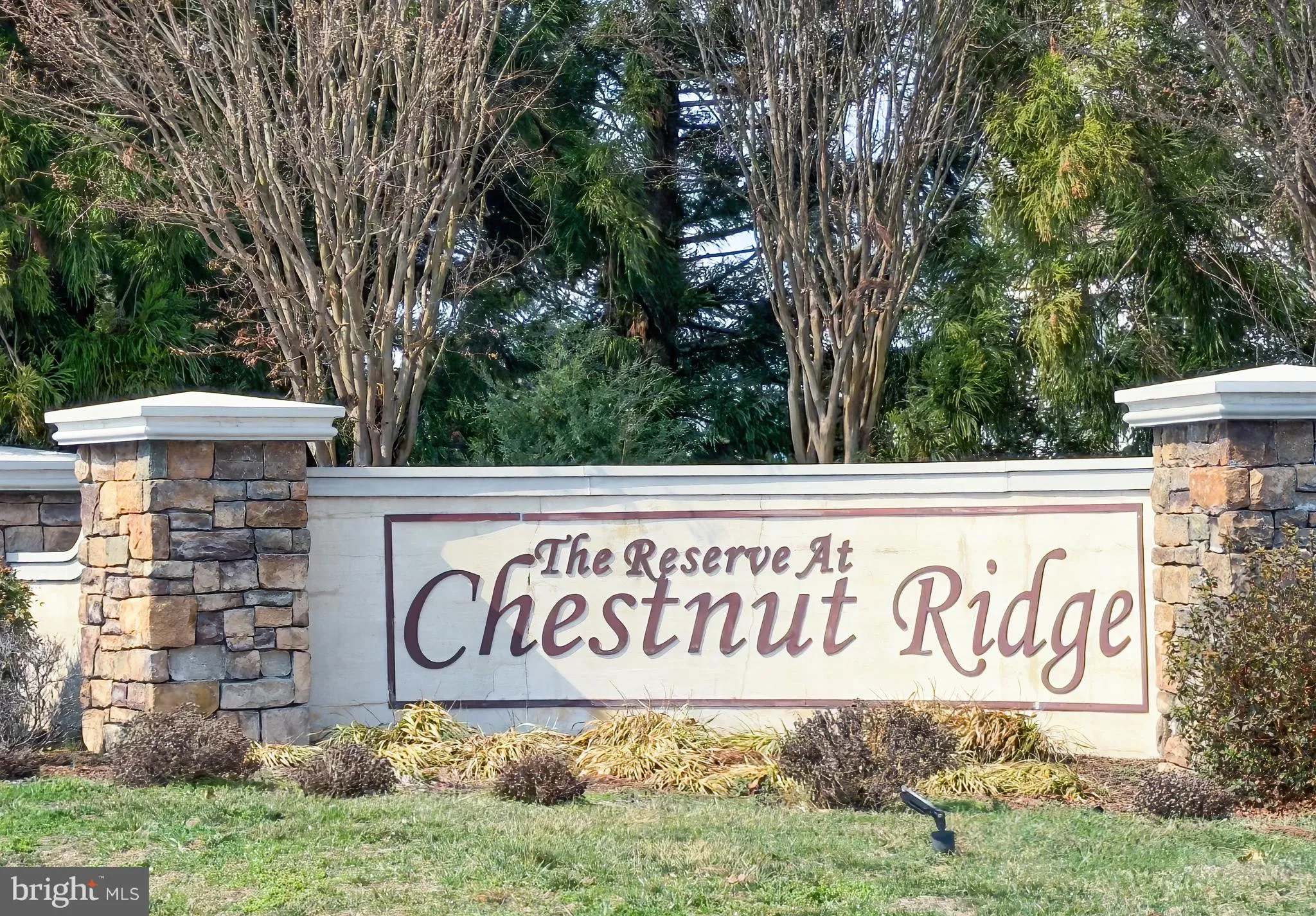 Additional image 55 of 171 Cinnamon Way, Magnolia, DE 19962