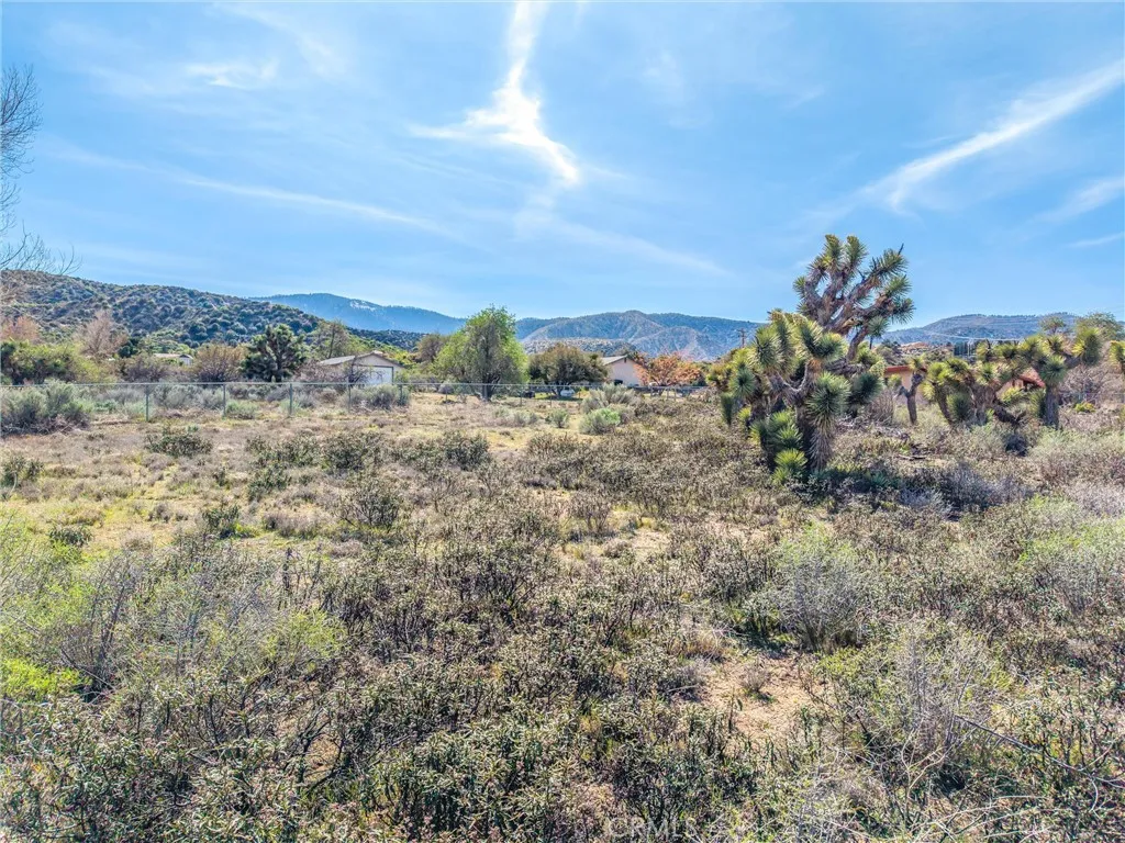 Additional image 43 of 3407 Hwy 2, Pinon Hills, CA 92372