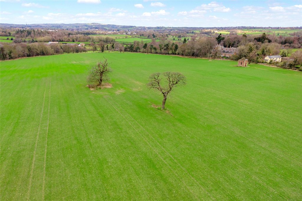 Additional image 8 of Equestrian for saleLeeswood, Mold, Flintshire CH7