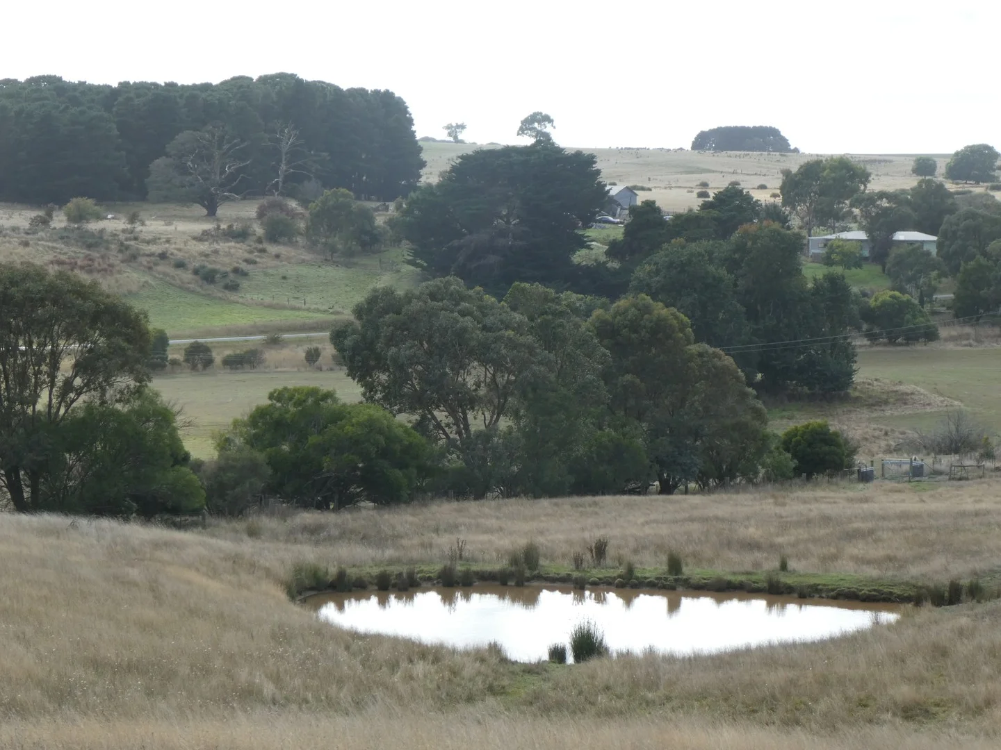 CA1 Sec 9 Beaufort-Carngham Road, Carngham VIC 3351