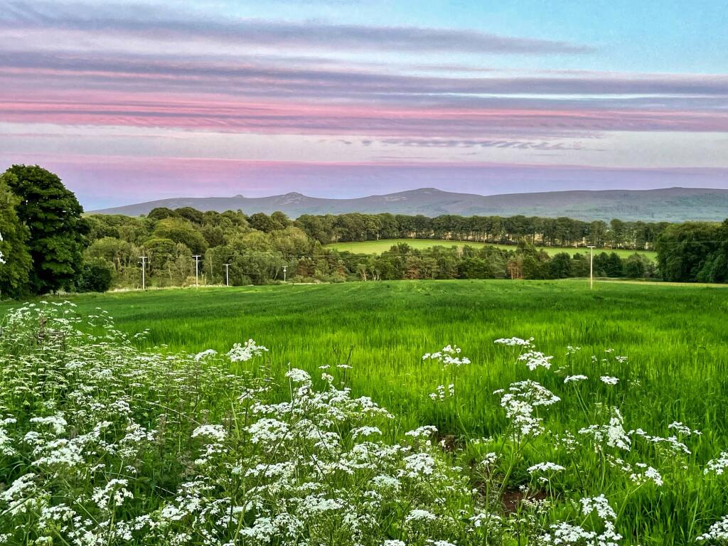 Additional image 2 of Drumrossie Coach House, Insch, Aberdeenshire, AB52 6LJ