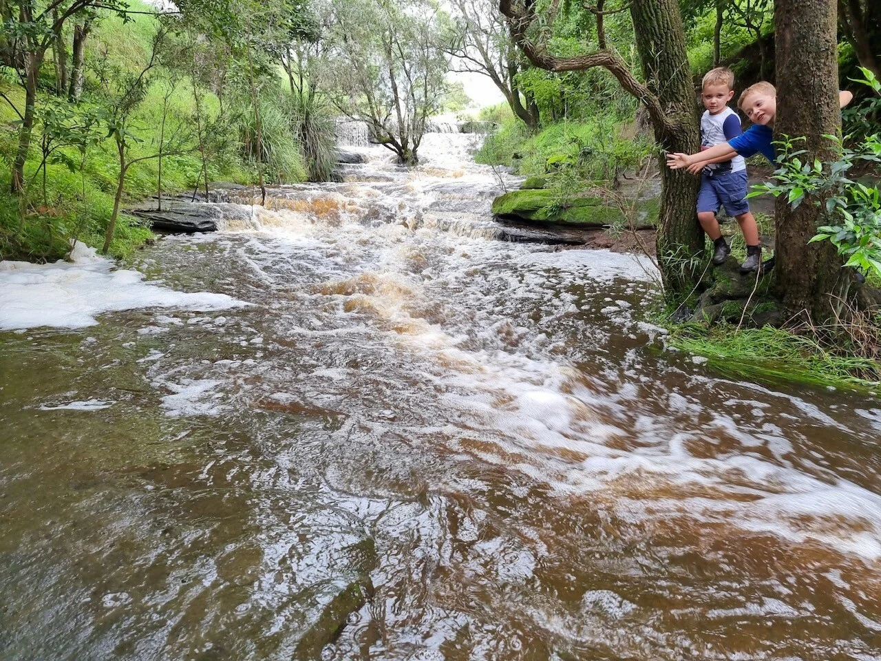 Additional image 8 of 1521 Sextonville Road, Kyogle NSW 2474