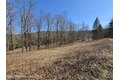 Additional image 19 of Timber Dr Lot 10, Cochecton, NY, 12726
