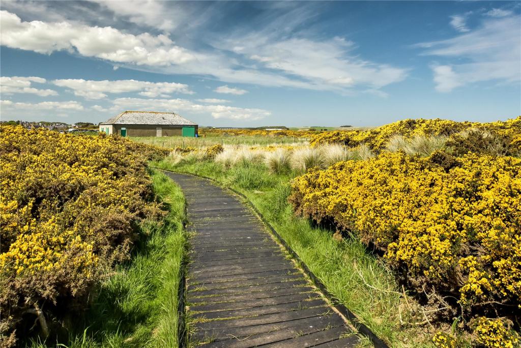 Additional image 6 of Corf House Development Opportunity, Ythan Estuary, Newburgh, Ellon, Aberdeenshire, AB41