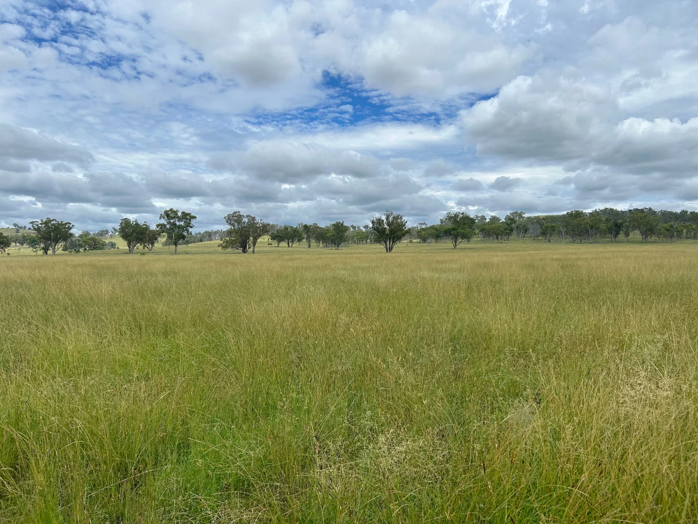 Additional image 20 of 737 Bukkulla Road, Ashford NSW 2361