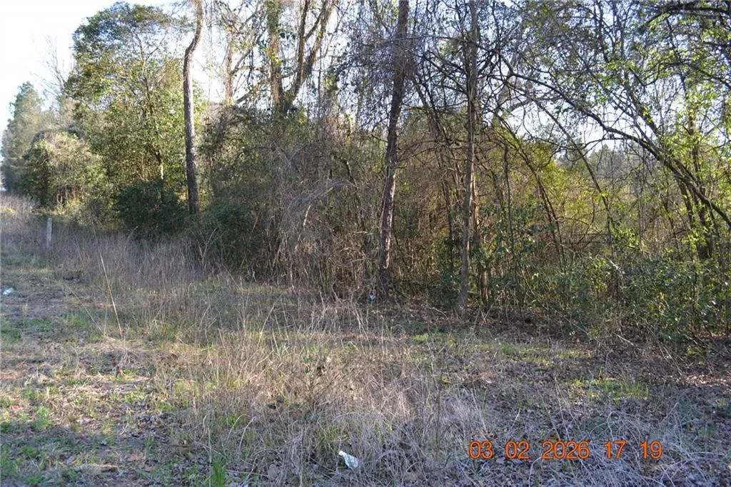 Additional image 7 of Auburn Road, Phenix City, AL 36870