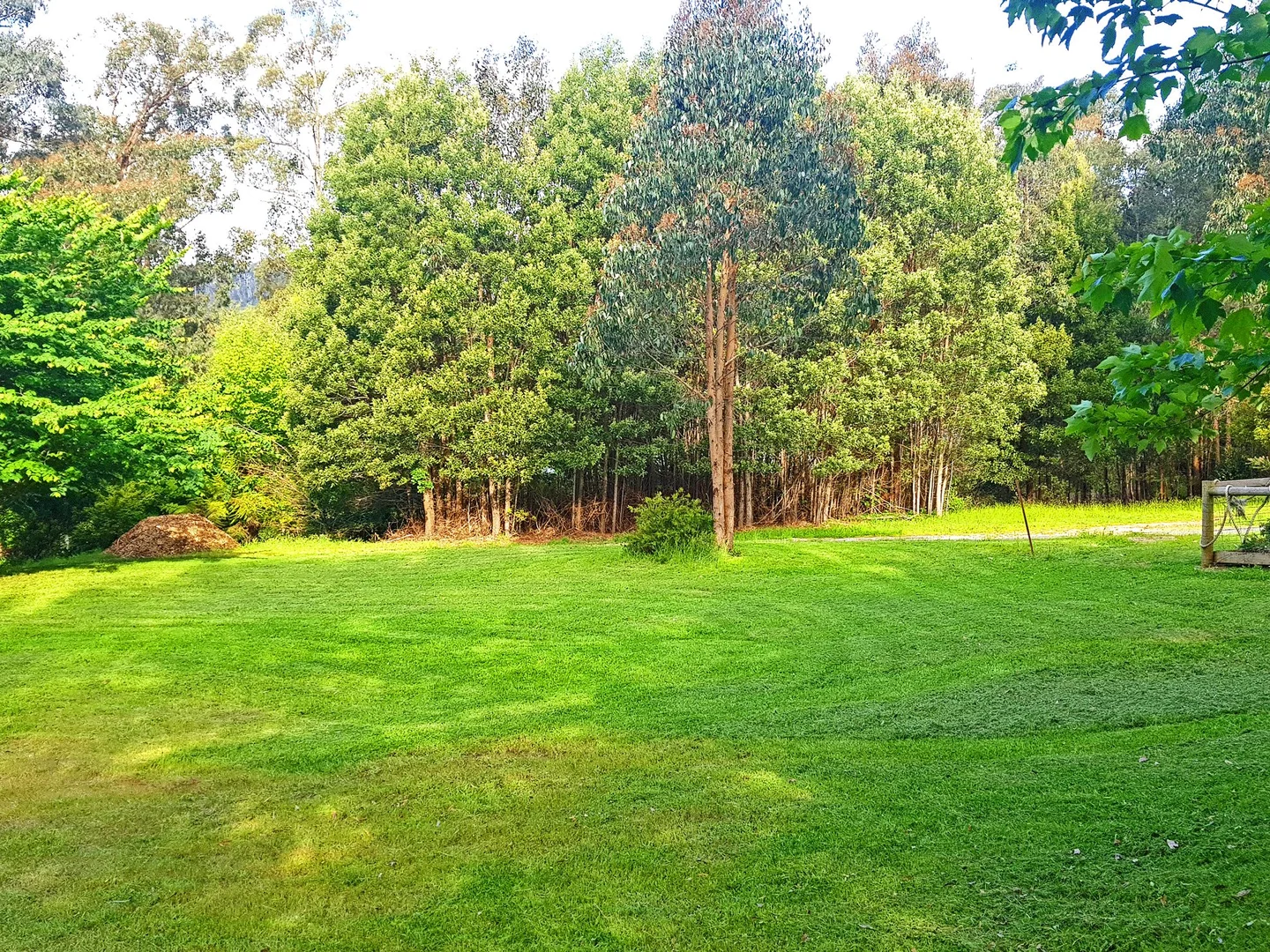 Additional image 3 of 20 KINGS ROAD, Marysville VIC 3779