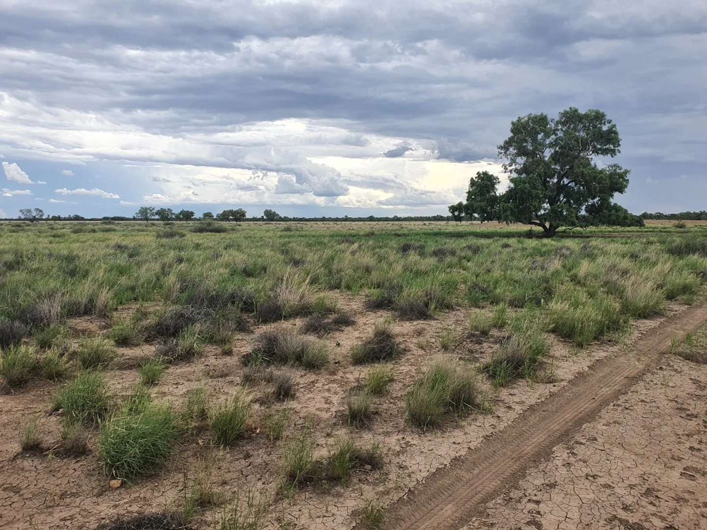 Additional image 9 of 1906 Burrawantie Road, Enngonia NSW 2840