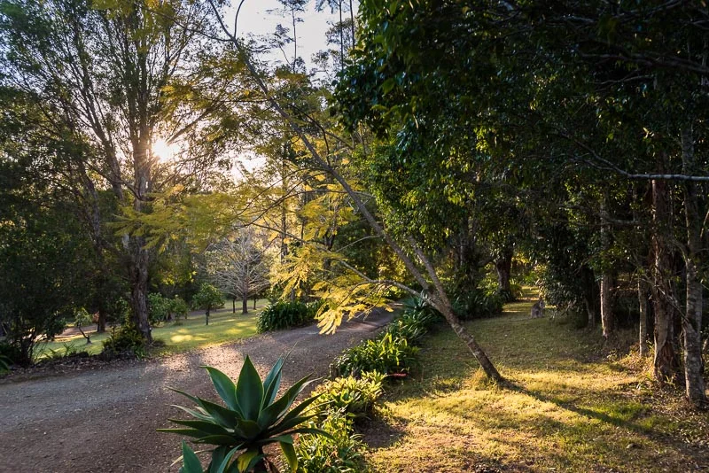 Additional image 11 of 347 Corks Pocket Road, Reesville QLD 4552