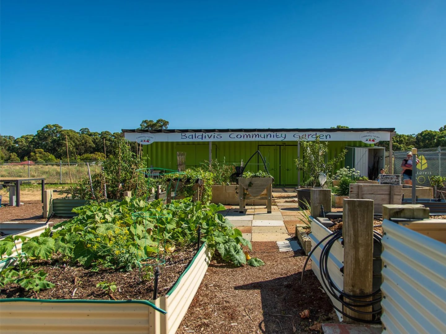 Additional image 19 of Lot 238 Gibberd Street, Baldivis WA 6171