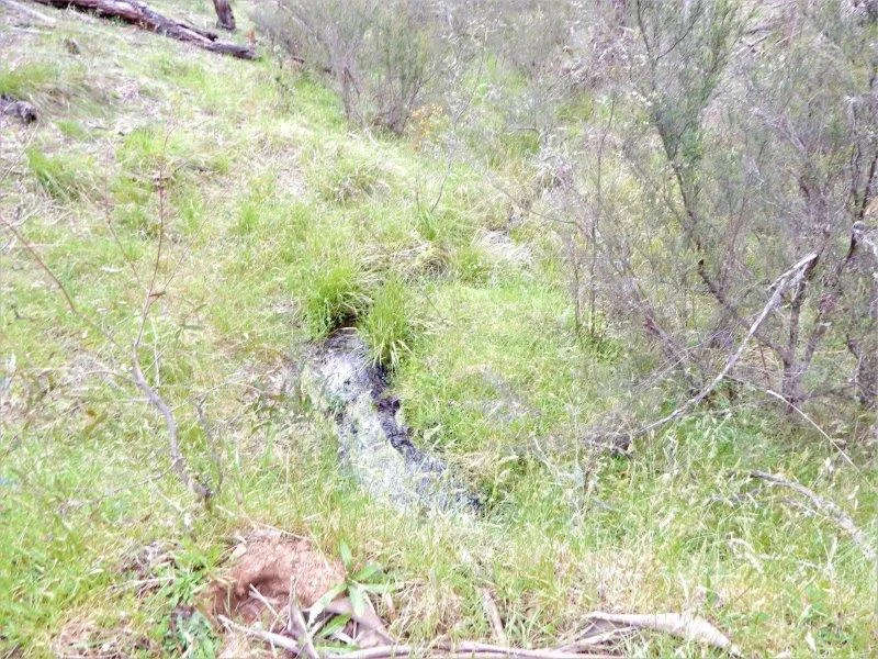 Additional image 7 of Lot 144 Anglers Reach Road, Adaminaby NSW 2629