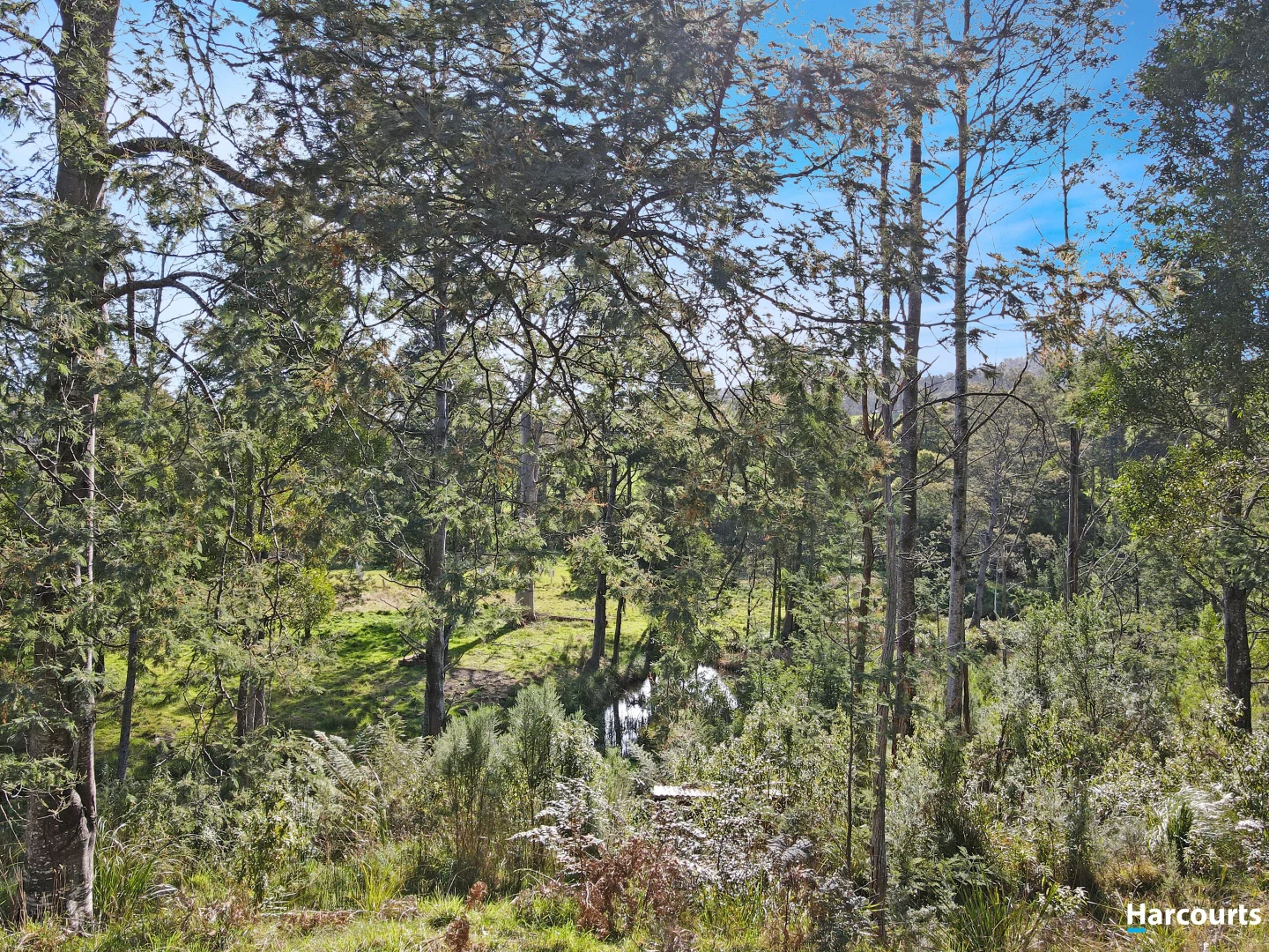 Additional image 44 of 27193 Tasman Highway, Goulds Country TAS 7216