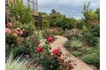 Additional image 21 of 36 Loma Rd, Redwood City, CA, 94062