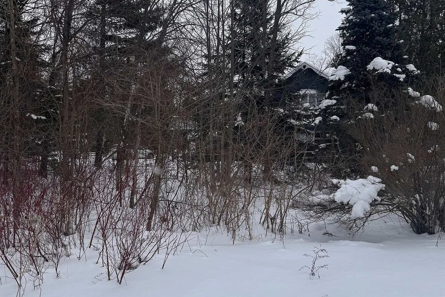 Additional image 3 of 39 Pine River Crescent