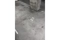 Additional image 29 of 3960 Adeline St Apt 107, Emeryville, CA, 94608