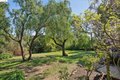 Additional image 53 of 3862 Lyman Rd, Oakland, CA, 94602