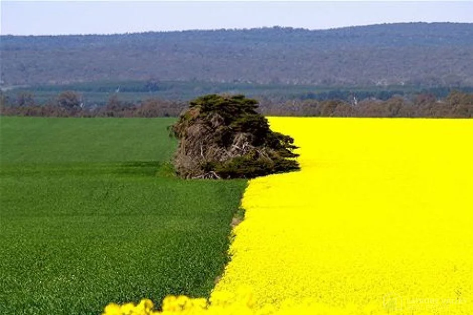 Additional image 10 of 42/38 Ridge Views Estate, Rosedale VIC 3847