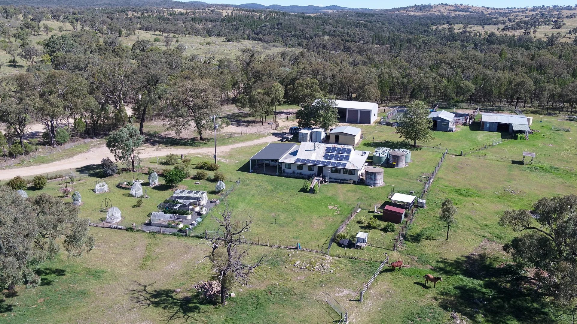 2663 Nullamanna Rd, Inverell NSW 2360