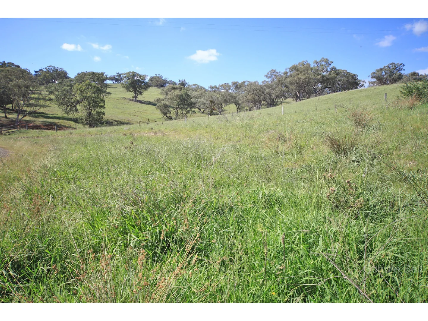 Additional image 6 of Tamworth NSW 2340