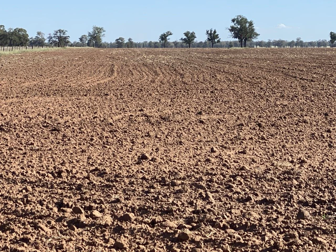 Additional image 28 of Parkes NSW 2870