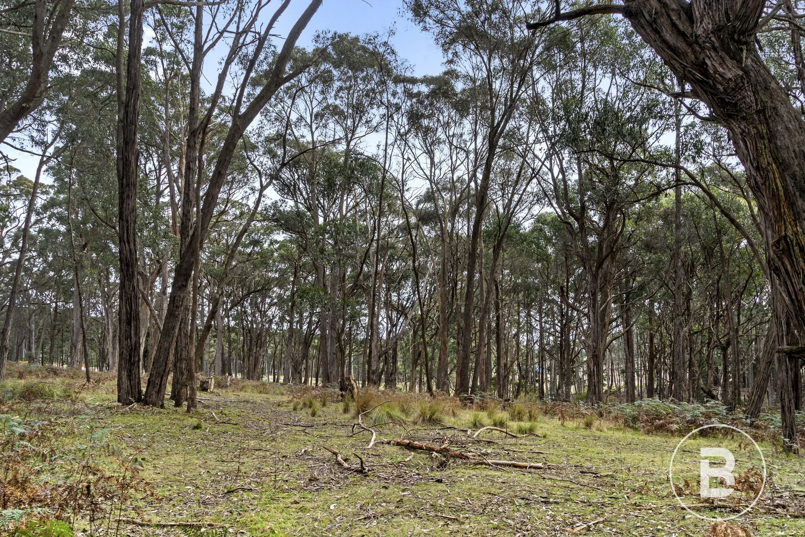 Additional image 11 of Lot 1 Cnr Abbington Park Road & Rob Roy Lane, Gordon VIC 3345