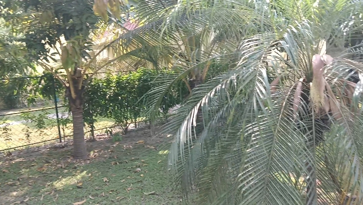 Additional image 3 of Rajarhat, Kolkata