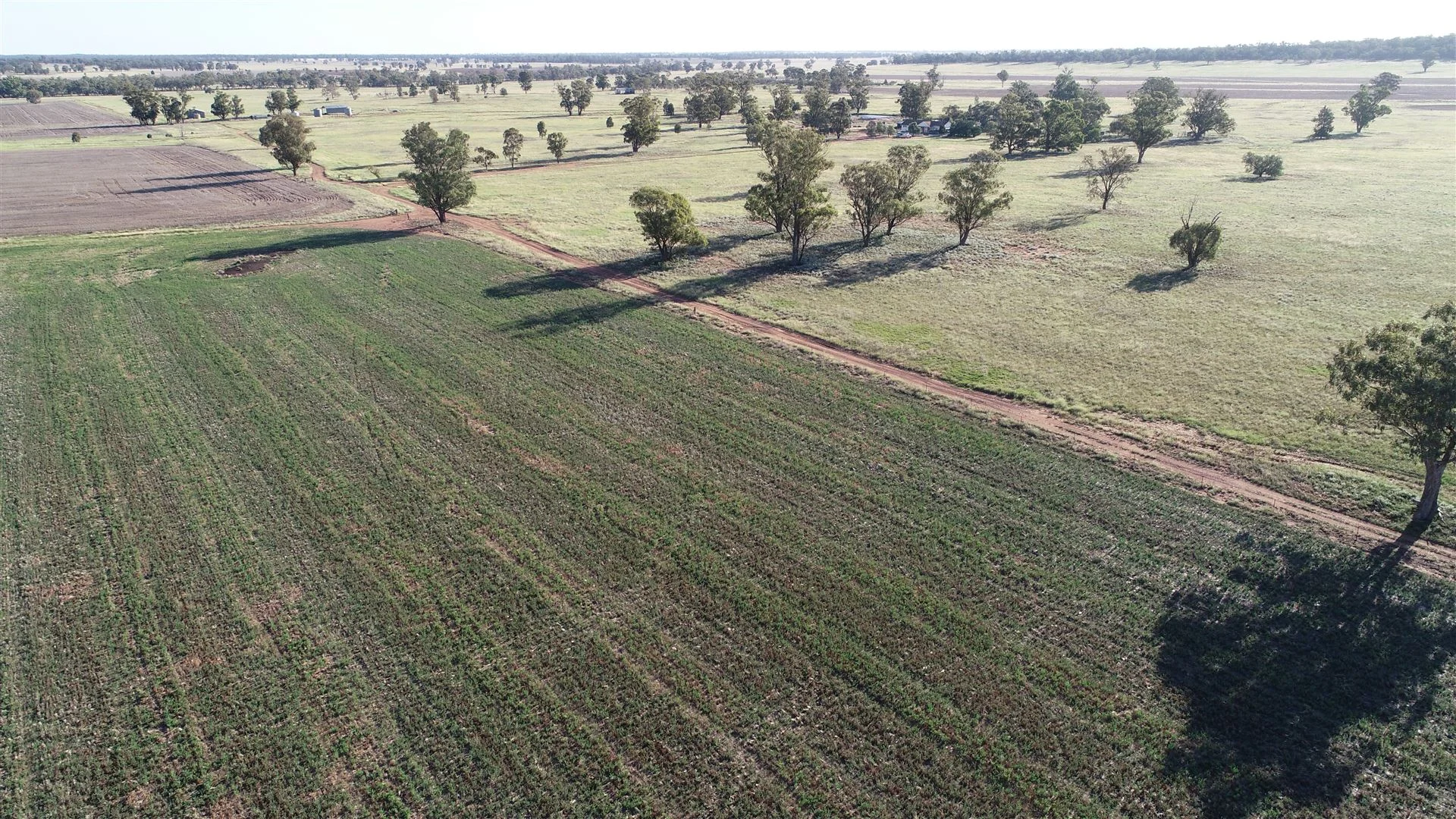 Additional image 14 of Parkes NSW 2870