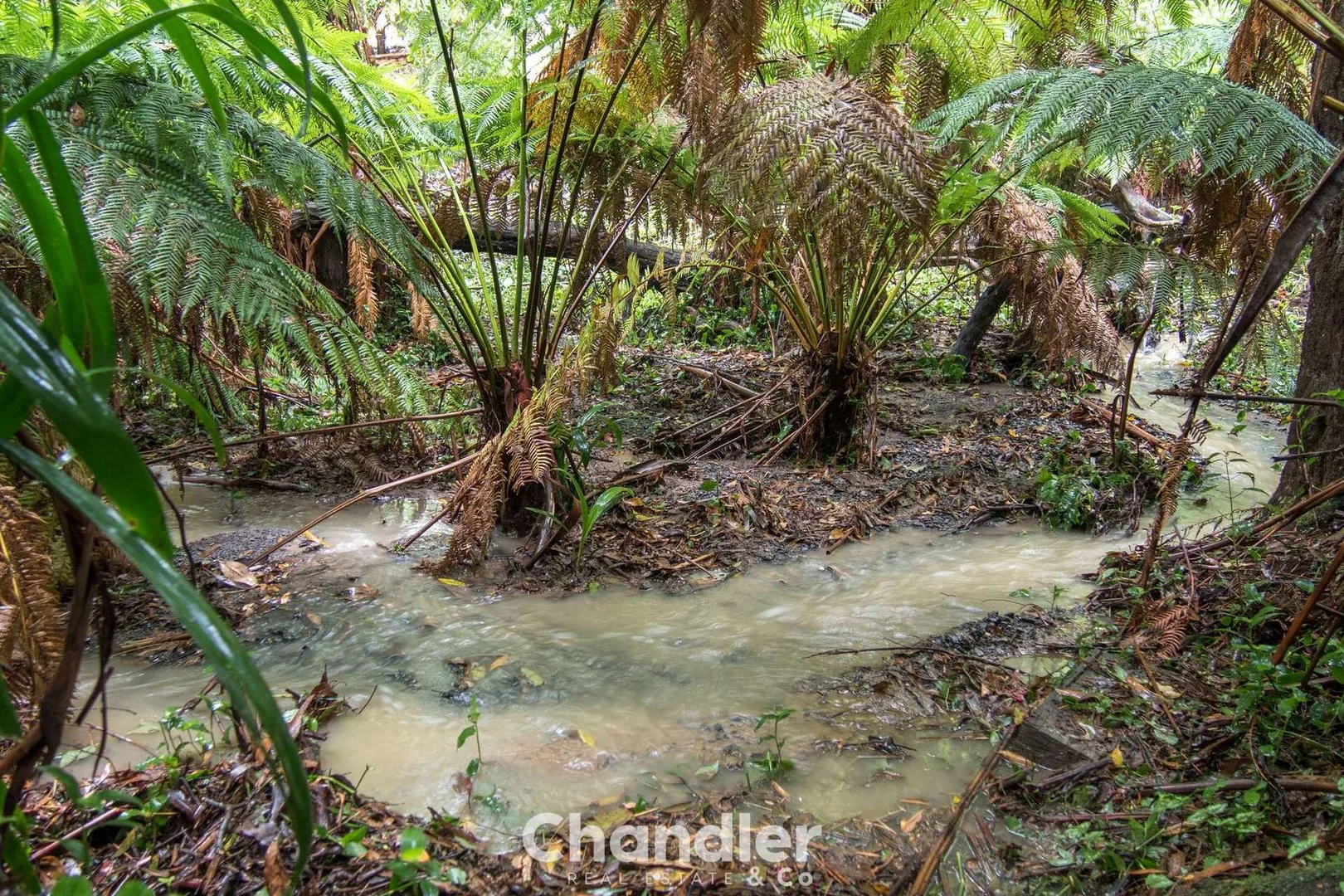 Additional image 4 of 85 Kallista - Emerald Road, The Patch VIC 3792